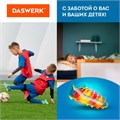Сушилка для обуви электрическая с таймером, USB-разъём, сушка для обуви, 9 Вт, DASWERK, SD9, 456202 456202