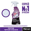 Чистящее средство 750 мл CILLIT BANG "Удаление черной плесени", для ванной и кухни, распылитель, 3032923 607517