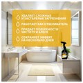 Средство для чистки сантехники кислотное 600 мл, GRASS GLOSS PROFESSIONAL, триггер, 125533 609911