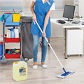 Чистящее средство 5 кг ЛАЙМА PROFESSIONAL "Лимон", дезинфицирующий и отбеливающий эффект, 880289 880289