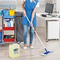 Чистящее средство 5 кг, LAIMA PROFESSIONAL "Лимон", дезинфицирующий и отбеливающий эффект, 602302 602302