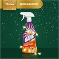 Чистящее средство 750 мл, CILLIT BANG "Антиналет + Блеск", универсальное, распылитель 600351