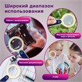 Лупа просмотровая STAFF "Manager", С ПОДСВЕТКОЙ, диаметр 50 мм, увеличение 5, корпус сине-бежевый, 454125 454125