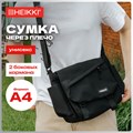 Клей-карандаш "Зверята: кошка, мышка, хрюшка", 9 г, фигурный колпачок, 3 шт./блистер, BRAUBERG KIDS, 271141 271141