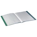 Папка 20 вкладышей BRAUBERG стандарт, зеленая, 0,6 мм, 221593 221593