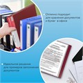 Папка 40 вкладышей BRAUBERG стандарт, красная, 0,7 мм, 221602 221602