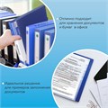 Папка 40 вкладышей BRAUBERG стандарт, синяя, 0,7 мм, 221603 221603