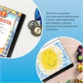 Папка 40 вкладышей BRAUBERG стандарт, черная, 0,7 мм, 221604 221604