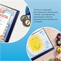 Папка 60 вкладышей BRAUBERG стандарт, черная, 0,8 мм, 221606 221606