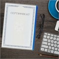 Папка-конверт СУПЕР КОМПЛЕКТ на молнии, 12 штук, А4 (335х238 мм), BRAUBERG, 271346 271346