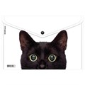 Папка-конверт на кнопке пластиковая ERICH KRAUSE "Hiding Cats", A4, ассорти, 61155 272656