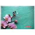 Папка-конверт с кнопкой BRAUBERG "FLOWER", А4, 160 мкм, до 100 листов, цветная печать, 228031 228031