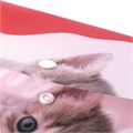 Папка-конверт с кнопкой BRAUBERG "FUNNY CAT", А4, 160 мкм, цветная печать, 228038 228038