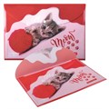 Папка-конверт с кнопкой BRAUBERG "FUNNY CAT", А4, 160 мкм, цветная печать, 228038 228038