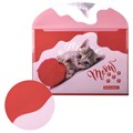 Папка-конверт с кнопкой BRAUBERG "FUNNY CAT", А4, 160 мкм, цветная печать, 228038 228038