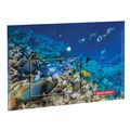 Папка-конверт с кнопкой BRAUBERG "SEA WORLD", А4, 160 мкм, до 100 листов, цветная печать, 228041 228041