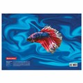 Папка-конверт с кнопкой BRAUBERG "SEA WORLD", А4, 160 мкм, до 100 листов, цветная печать, 228041 228041