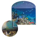 Папка-конверт с кнопкой BRAUBERG "SEA WORLD", А4, 160 мкм, до 100 листов, цветная печать, 228041 228041
