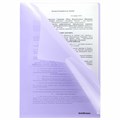 Папка-уголок ERICH KRAUSE "Diagonal Pastel", ассорти, 0,18 мм, 50170 272918