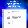 Папки-файлы перфорированные А4 BRAUBERG "STANDARD+", КОМПЛЕКТ 200 шт., матовые, 45 мкм, 229662 229662