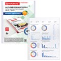 Папки-файлы перфорированные А4 BRAUBERG "STANDARD+", КОМПЛЕКТ 200 шт., матовые, 45 мкм, 229662 229662