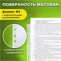 Папки-файлы перфорированные А4 STAFF "ЭКОНОМ", КОМПЛЕКТ 100 шт., матовые, 25 мкм, 226828 226828