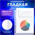 Папки-файлы перфорированные БОЛЬШОЙ ВМЕСТИМОСТИ до 250 листов, A4, КОМПЛЕКТ 5 шт., 180 мкм, BRAUBERG, 224315 224315