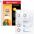 Папки-файлы перфорированные, А4, BRAUBERG "STANDARD", комплект 100 шт., матовые, 30 мкм, 221991 221991