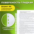 Папки-файлы перфорированные, А4, STAFF "STANDARD", КОМПЛЕКТ 100 шт., гладкие, 25 мкм, 224814 224814