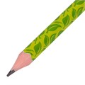 Карандаш чернографитный BRAUBERG "GREEN", 1 шт., HB, с ластиком, пластиковый, ассорти, 181746 181746