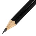 Карандаш чернографитный BRAUBERG "Style PRO", 1 шт., HB, с ластиком, корпус черный, 181723 181723