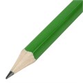 Карандаш чернографитный BRAUBERG, 1 шт., "Fluor", НВ, с ластиком, корпус неоновый ассорти, заточенный, 180613 180613