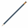 Карандаш чернографитный KOH-I-NOOR, 1 шт., "Astra", НВ, с ластиком, корпус ассорти, заточенный, 1380, 1380002017KSRU 180139