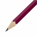 Карандаш чернографитный KOH-I-NOOR, 1 шт., "Astra", НВ, с ластиком, корпус ассорти, заточенный, 1380, 1380002017KSRU 180139