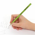 Карандаш чернографитный STAFF "Basic" BLP-743, 1 шт., НВ, пластиковый, корпус ассорти, 181743 181743