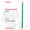 Карандаши чернографитные BRAUBERG НАБОР 12 шт., НВ, с резинкой, пластиковый зеленый корпус, 180678 180678