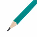 Карандаши чернографитные с ластиком STAFF EVERYDAY BLP-GRN, КОМПЛЕКТ 50 шт., НВ, корпус зеленый, 181941 181941