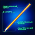 Карандаши с двухцветным грифелем BRAUBERG BICOLOUR, 12 штук, 24 цвета, шестигранные, грифель 3 мм, натуральное дерево, 181855 181855