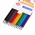Карандаши цветные BRAUBERG PREMIUM 12 цветов + 1 чернографитный карандаш, трехгранные, грифель 3 мм, 181936 181936