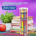 Карандаши цветные BRAUBERG PREMIUM 36 цветов в тубе, трехгранные, грифель 3,3 мм, натуральное дерево, 181934 181934
