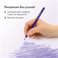 Карандаши цветные BRAUBERG PREMIUM, 12 цветов, трехгранные, грифель 3 мм, 181661 181661