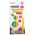 Карандаши цветные BRAUBERG PREMIUM, 12 цветов, шестигранные, грифель 3 мм, 181666 181666