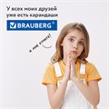 Карандаши цветные BRAUBERG PREMIUM, 12 цветов, шестигранные, грифель 3,3 мм, натуральное дерево, 181656 181656