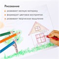 Карандаши цветные BRAUBERG PREMIUM, 18 цветов, трехгранные, грифель 3 мм, 181662 181662