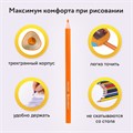 Карандаши цветные BRAUBERG PREMIUM, 18 цветов, трехгранные, грифель 3 мм, 181662 181662
