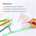 Карандаши цветные BRAUBERG PREMIUM, 24 цвета, трехгранные, грифель 3,3 мм, натуральное дерево, 181653 181653