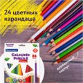 Карандаши цветные BRAUBERG PREMIUM, 24 цвета, трехгранные, грифель 3,3 мм, натуральное дерево, 181653 181653