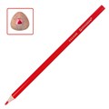 Карандаши цветные BRAUBERG PREMIUM, 24 цвета, трехгранные, грифель 3,3 мм, натуральное дерево, 181653 181653
