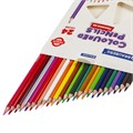 Карандаши цветные BRAUBERG PREMIUM, 24 цвета, трехгранные, грифель 3,3 мм, натуральное дерево, 181653 181653
