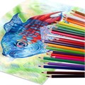 Карандаши цветные BRAUBERG PREMIUM, 24 цвета, трехгранные, грифель 3,3 мм, натуральное дерево, 181653 181653